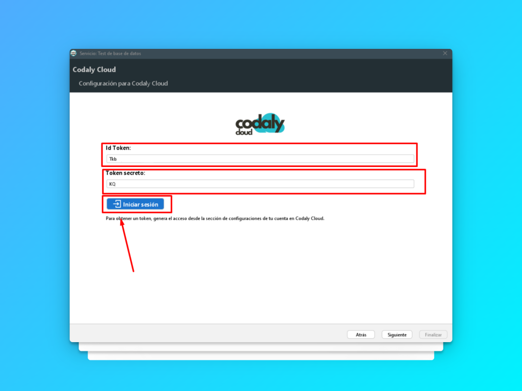 Pegar token en codaly sync